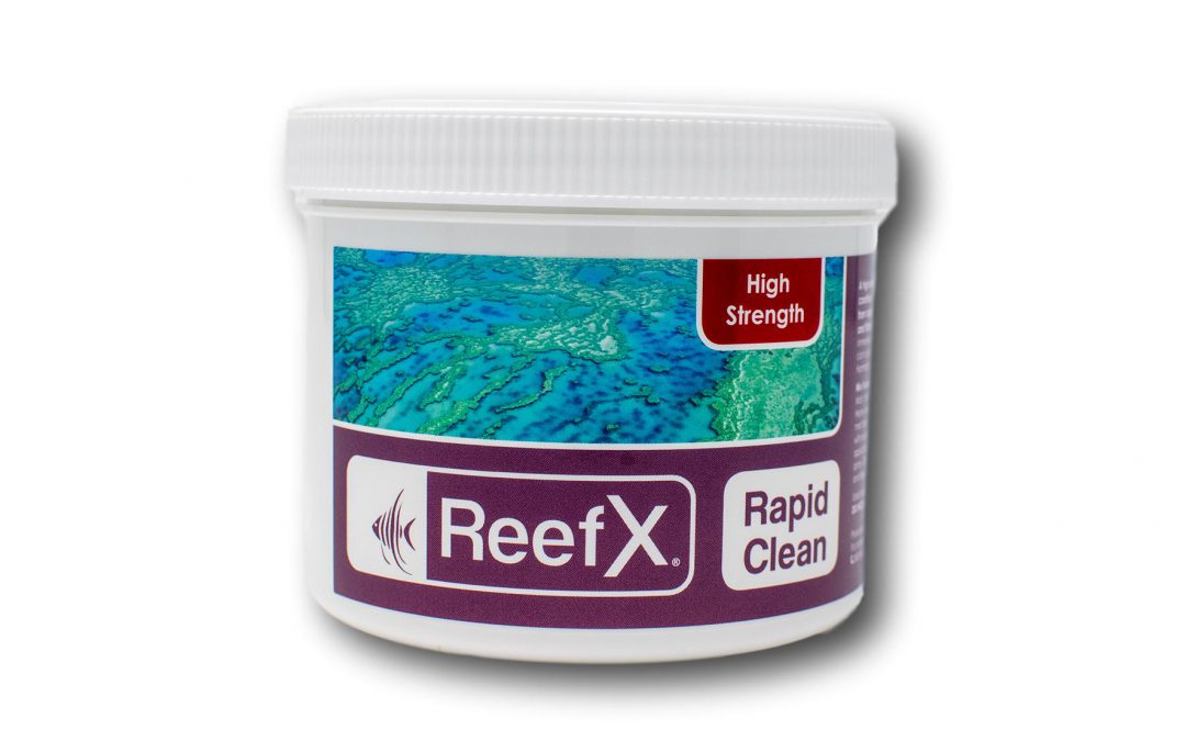 Aquarium cleaning ‹ ReefX®